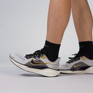 ✔️New✔️ NIKE Air Zoom Pegasus 41 'Light Smoke Grey Metallic Gold